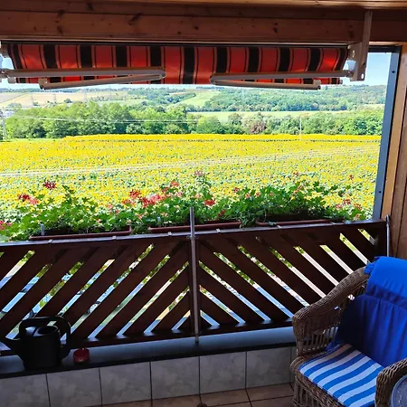 Gasthof Viola House 3*