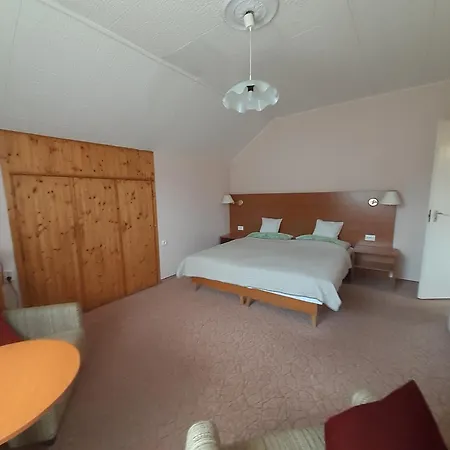 Guest house Viola House Heviz