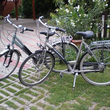 Viola House Konukevi 3*