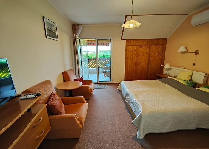 Viola House ゲストハウス