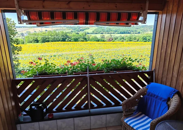 Πανσιόν Viola House 3*