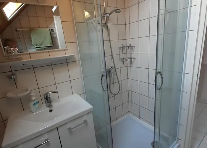 Viola House Πανσιόν 3*