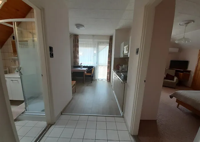 Viola House Πανσιόν 3*