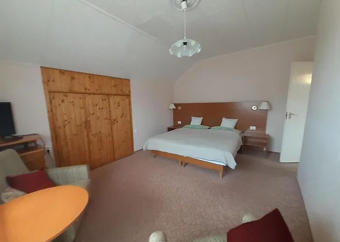 ゲストハウス Viola House ヘーヴィーズ