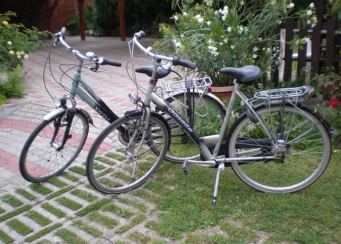 Viola House Gasthof 3*